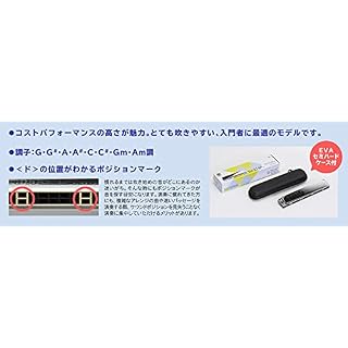 Suzuki 21 trous Tremolo Harmonica Special SU-21SP-N - clé de A – Image 3