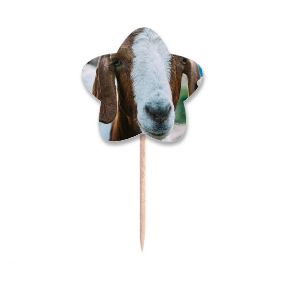 Drapeaux mouton pour cupcake et décoration de table d'anniversaire enfant
