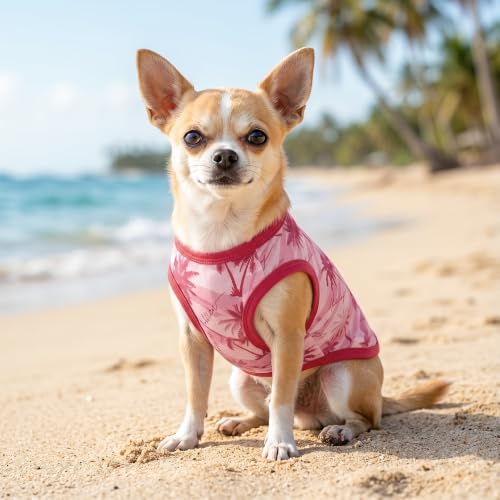 Image of CuteBone Dog Shirts 2-Pack Soft Pet Clothes Breathable Summer Vest for Small Puppy and Stretchy Cat Apparel 2BX25XS