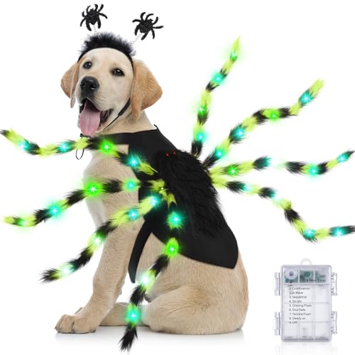 Disfraz de araña LED para perro mediano y grande Halloween