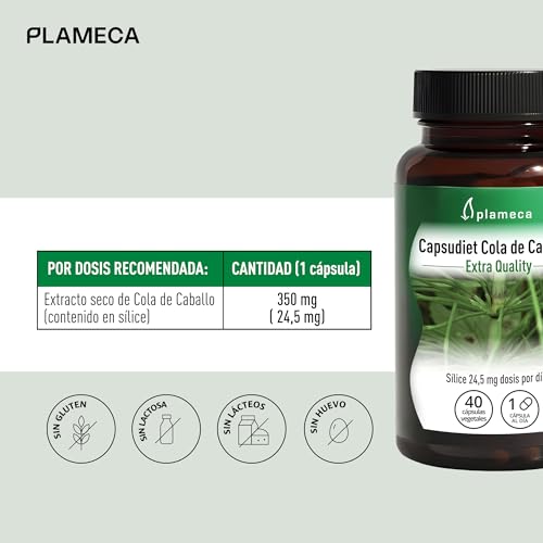 Capsudiet Cola de caballo 40 cápsulas vegetales