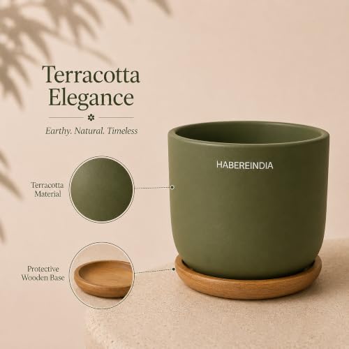 Image of Habere India-All the Cultures Fabricating India Plant Pot with Wooden Plate | Flower Pots for Dining Table & Home Decor | Terracotta Pot for Living Room Decoration (Olive, Dia11 x H10 cm)