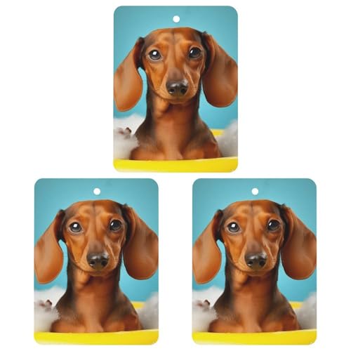 ԗpF܃nMOCZX`bv3_pbN Ԃ̍tnMOV[g  z[  CeA _bNXtg