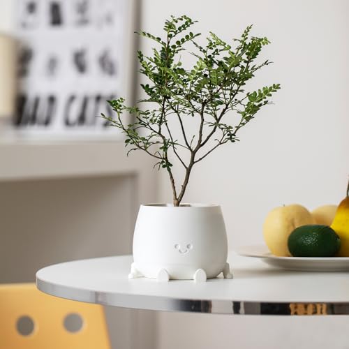 Image of TOPOLA Happy Face Planter, 5.2 Inches Plastic Plant Pot, Self Watering Plant Pot with Drainage Holes for Indoor Outdoor, Succulent Pot, Funny Flower Pot, White