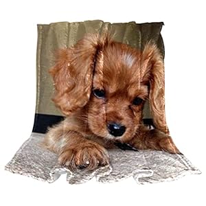Blankets & Throws, Soft Blanket, Fleece Blanket, Cozy and Comfy for All Seasons, Pet Dog Animal Lovely