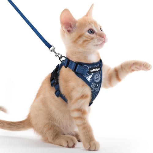 Image of rabbitgoo Cat Harness and Leash Set, Escape Proof Vest, Cosmic Ace | Soft Breathable Mesh, Easy Adjustable Fit, Snap Buckles, Sturdy Clip, Reflective Strips, for Kittens & Small Cats Walks, Xxs