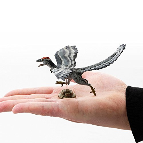 (未使用･未開封品)　アーケオプテリクス/始祖鳥 ソフトモデル(FDW-015) wyeba8q Amazon.co.jp: アーケオプテリクス/始祖鳥 ソフトモデル(FDW-015
