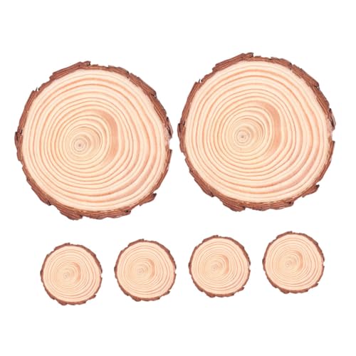 FIXOSHEE 6 dグVRؐEhXCX Ntgpؐ`R[X^[ hAnK[ yʂłHΉ