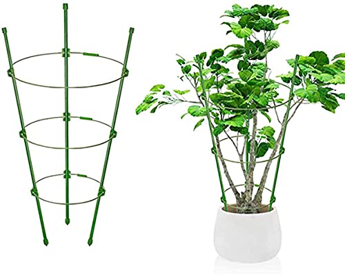 Wiederverwendbare Gartenpflanzenstütze, Metallringe, faltbar, klein, Garten & Outdoor, Rankgitter, Blume, Edelstahl, Klettern, Gemüse, Blumen & Obst, Käfig mit 3 verstellbaren Ringen (4, 75) Cover