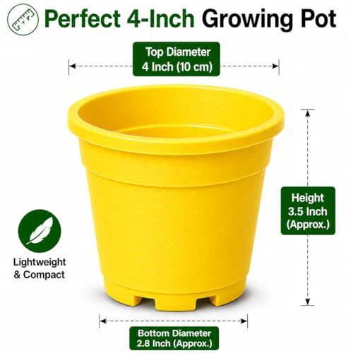 Image of Indian Gardens - 4 inch Indoor (Pack of 10) Plastic Small Colour pots | Plastic Plant Pot for Terrace Garden (Yellow)