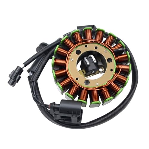 Bobine de stator G310GS pour réparer panne de batterie moto