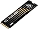 MSI Gaming SPATIUM M480 PRO PCIe 4.0 NVMe M.2 1TB Internal SSD (PCIe Gen4, NVMe 1.4, M.2 2280, Read 7400 MB/S, Write 6000 MB/S, 1TB)