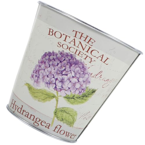 DOITOOL Pot De Fleurs en Métal Vintage pour Succulentes Intérieur Et Extérieur, Jardinière Rétro en Fer Violet, Décoration Balcon Jardin, Pot à Plantes Résistantes Et Décoratif