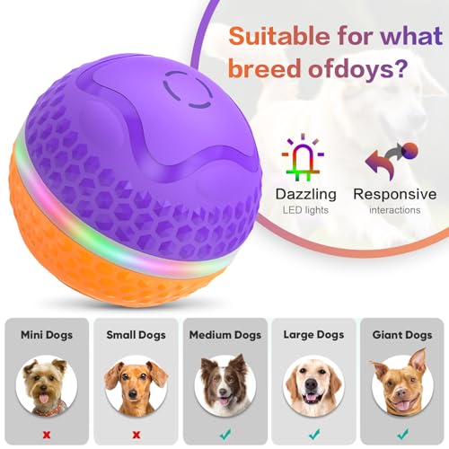 Balle interactive pour chien contre l'ennui des grands animaux à LED