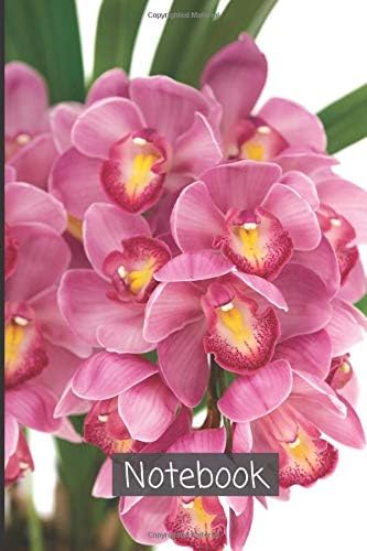 Cymbidium Notebook: A journal which writes ideas, needs, observations and new ways of thinking | lined Diary Cymbidium Design Notebook (Cymbidium Notebook and Journal)