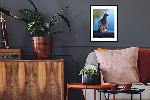 Poster met lijst Duiven - Poster met lijst duif bij rivier - 30x40 cm - Afbeelding 4