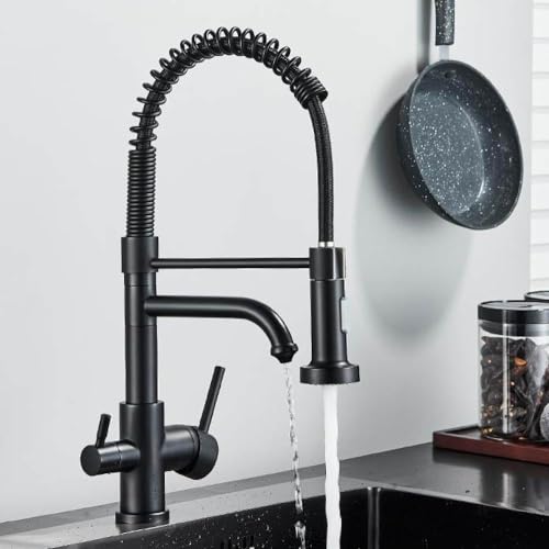 Robinet de filtre à eau double boisson en laiton pour éliminer les impuretés de l'évier