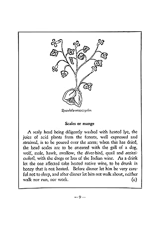 An Aztec Herbal: The Classic Codex of 1552 - Image 6