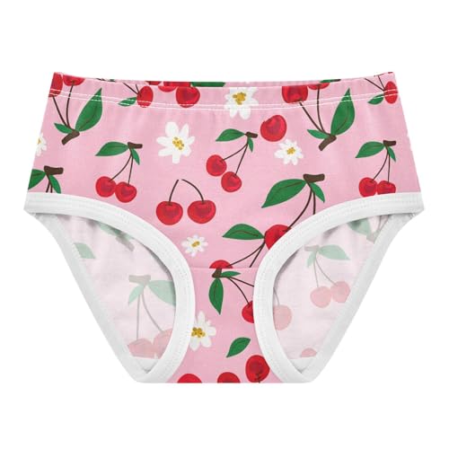 Cherry Flowers Floral Pink Toddler Girls's Underwear 2T 2301875