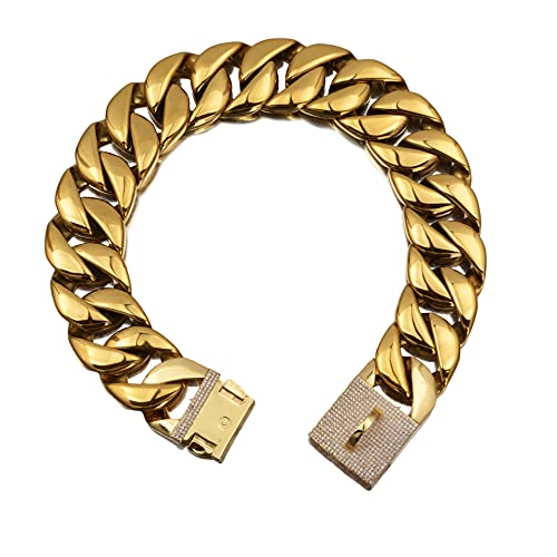 Collier en Acier Inoxydable pour Grand Chien : Avis Complet et Fiable