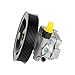 Power Steering Pump W/Pulley Compatible for 2004-2011 Infiniti QX56 2004 Nissan Titan 5.6 21-5366 Engine Car Accessories Parts Replacement