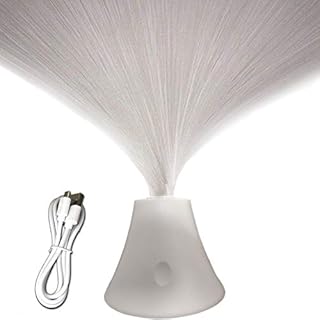 DGLIANYA Touch Button Fiber Optic Lamp LED Warm White Color Changing Mood Lights USB Operated Rechargeable Night Light for Home Decoration Wedding Party Gift