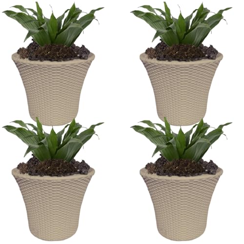 Image of Plastic Helex Planter Pot 10-inch Flower Pots for Garden Plant Container Pack of 4 (Beige)