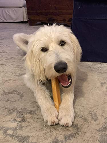 Ecokind Pet Treats Gold Himalayan Yak Cheese Dog Chew, Yak Dog Treats For Active Chewers, 100% Natural & Healthy Chew Sticks For Small & Large Dogs, Assorted Set Of Big & Small Yak Chews (4 Sticks) #TOP6