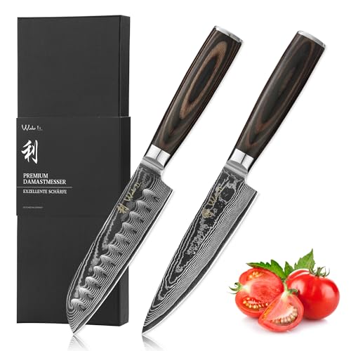 Wakoli Essentials Chef & Santoku Knife Set, VG10 Kitchen Knife Set