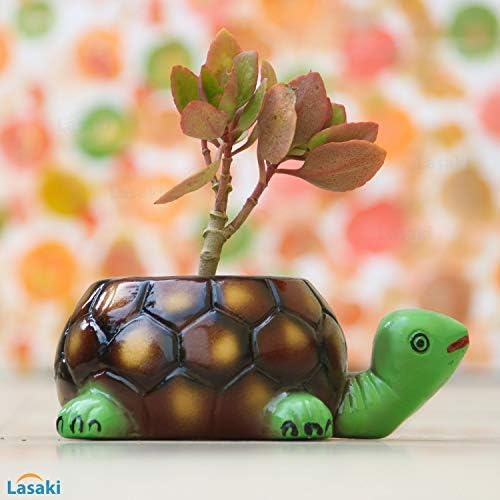 Lasaki Tortoise Big Ceramic for Indoor Plants,Planters,Flower,gamla for Outdoor,Balcony,Home,Garden,Office Decor,Succulent Pot(Hand Painted Green Neck)(L:19.5 cm,W:13.5 cm,H:7 cm)(Plants not included)