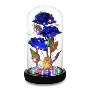 Dream of Flowers Valentines Da Gifts, Gifts for Mom, Galaxy Artificial Rose Flower Beauty and The Beast Rose , Eternal…