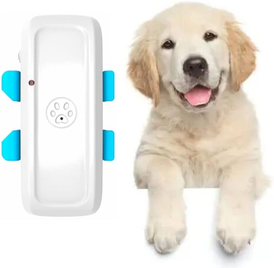 Gps Cani Senza Abbonamento I 15 migliori prodotti a confronto Mondo