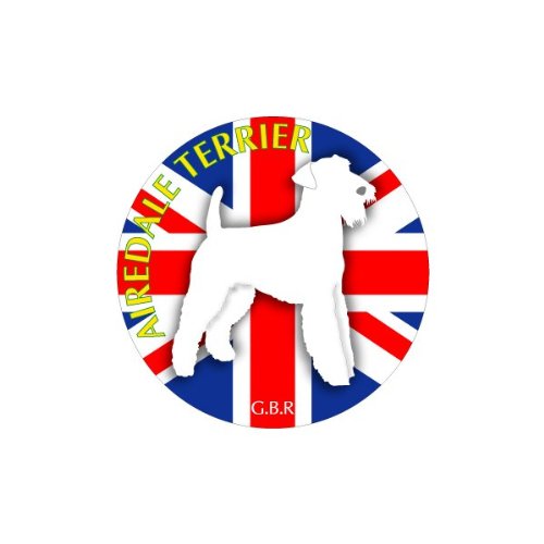  XebJ[ u܂v GAf[eA LTCY