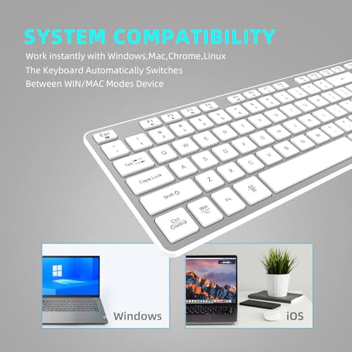 Image of Slim Wireless Keyboard for Mac and Windows, Ultra Quiet Low-Profile Flat Key Board with Full-Size Keys, 2.4GHz Wire Less for PC, Mac, Windows 11 /10 /8 /7 Silver