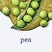 Gerber Stage 2 Baby Food Peas, Baby Peas Puree Tub, No Added Salt, No Artificial Colors or Flavors, Baby Puree, Baby Food Vegetables, 16-Pack