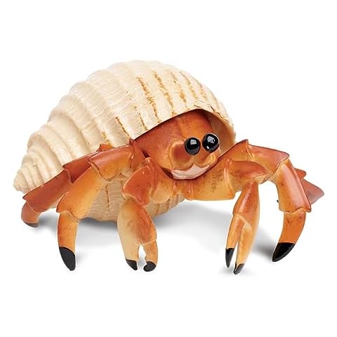 Safari Ltd. Hermit Crab Figurine - Detailed 4.5" Model Figure - Educational Toy for Boys, Girls, and Kids Ages 18M+ Cover