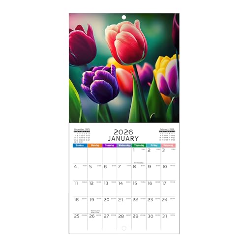 Qoukonao 壁掛けカレンダー,月間ウォールアートカレンダー - 可愛いギャグプランナー 子供 先生 家族 部屋 寝室 家 教室 学校 キッチン用 インテリア