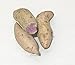 Fresh Purple Sweet Potatoes-4LBS