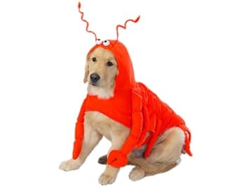 Casual Canine Lobster Paws Dog Costume, Small (fits lengths up to 12