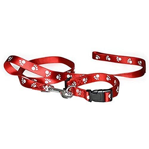 Pet Guard Nylon Paw Print 10MM Collar Set for Puppies and Cats,Multi-Colored and Multi-Printed - Color May Vary130 (B09V36SZNH) Amazon Price History, Amazon Price Tracker