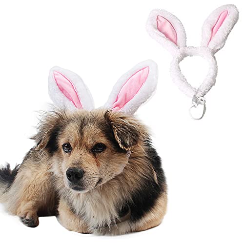 10 Must-Have Puppy Bunny Ear Products for Your Adorable Fur Baby ...