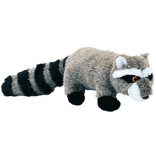 What does a raccoon dog look like