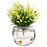 Veemoon Maceta Hidropónica de Vidrio Transparente con Depósito de Agua Grande y Cesta de Plantación Extraíble para Riego Automático y Circulación de Oxígeno para Decoración Interior y