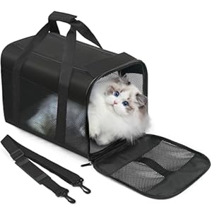 Cat Carrier, Dog Pet Carrier for Small Medium Cats Puppies up to 12 Lbs, Airline Approved Carrier Soft Sided, Collapsible Travel Cat Carrier – MIYCOO