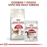 Royal Canin Katzenfutter Feline Fit 32 - 6