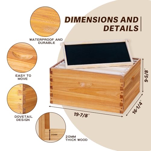 Thxbees 10-Frame Langstroth Bee Hive Complete Bee Hive Kit Beeswax Coated Include Beehive Frames and Waxed Foundation Sheets for Beekeeper (2 Deep Beehives Box & 1 Medium Box) - Thumbnail 3