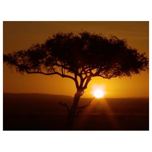 Kenya: Angles of Africa