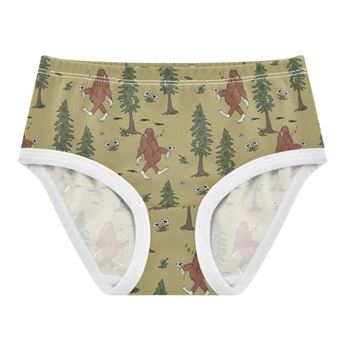 Girls Underwear Soft Cotton Bigfoot Kids Panties in Sizes 2/3t, 4t, 5t, 6 and 8