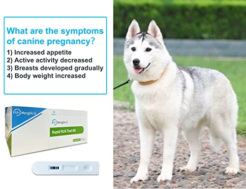 MONGGO Q 10 Pcs Dog Pregnancy Test Kit at Home, Rapid Relaxin Dog Pregnancy Test Canine Pregnant Test Strip Supplies Convenient Fast and Accurate Easy to Use Results for Home Vet Clinic Hospital MONGGO Q 10 Pcs Dog Pregnancy Test Kit at Home, Rapid Relaxin Dog Pregnancy Test Canine Pregnant Test Strip Supplies Convenient Fast and Accurate Easy to Use Results for Home Vet Clinic Hospital