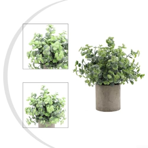 Planta de eucalipto con diseño equilibrado y aspecto realista 4